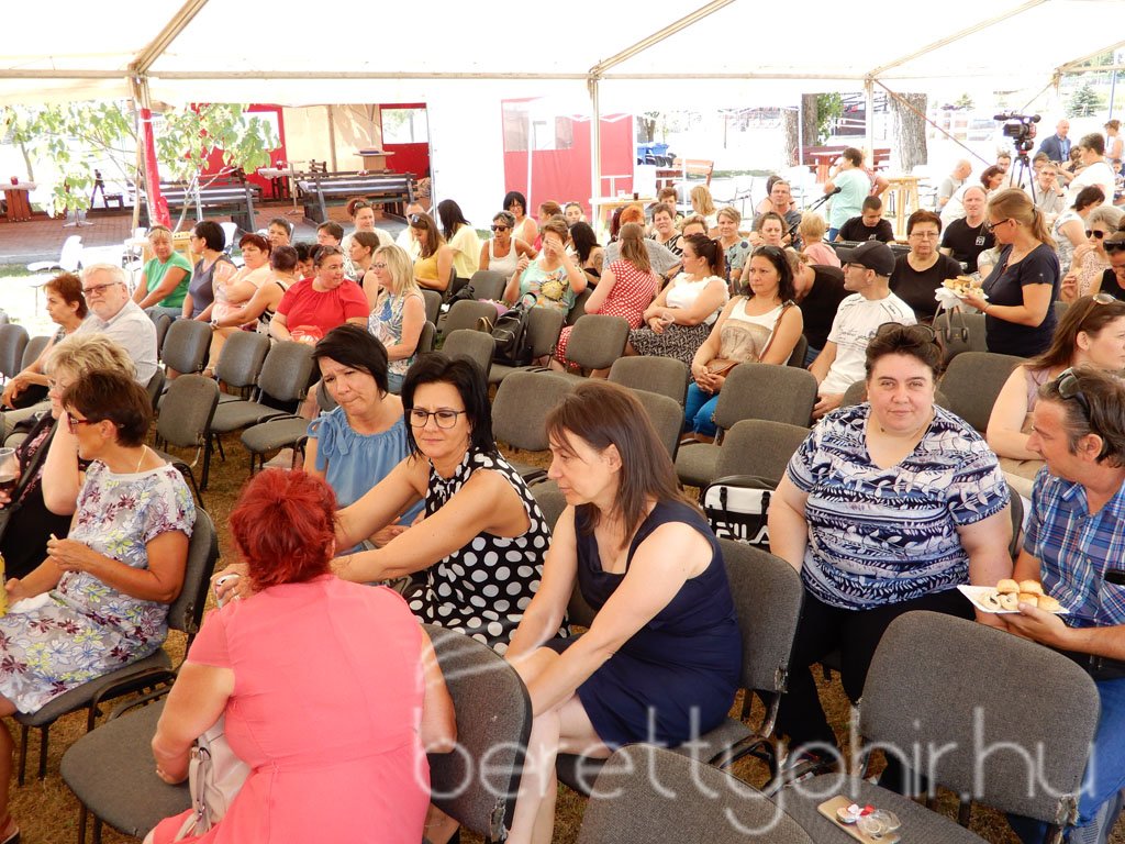 Semmelweis napi party 12